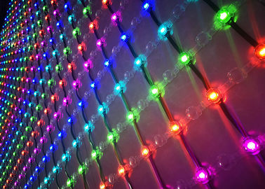 De berijpte Bol van de LEIDENE Netto Lichten Netwerkfee met Duurzame Polycarbonaathuisvesting