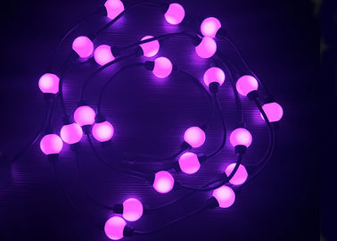Programmeerbare Rgb LEIDENE van pvc Kerstmislichten 28MM Lengte voor Vakantieclub
