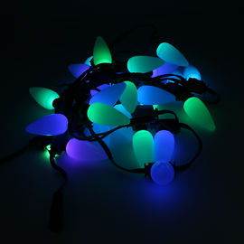 Van de het Koordlichten Berijpte Bol van pvc SMD5050 RGB de Stijl Mini LEIDENE met 16 bits Koordlichten