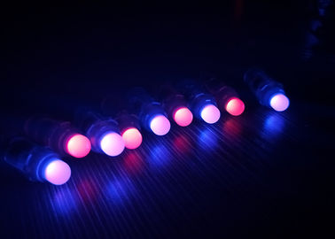 IP65 brandkast die van RGB LEIDENE de Kleuren Veranderend 12DC Ingevoerd Laag Voltage hangen Pixellichten